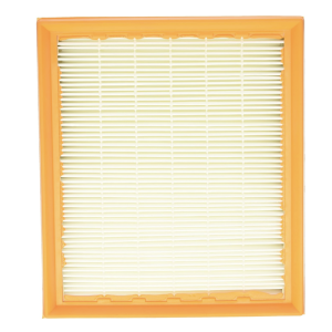 Filtro principal HEPA
